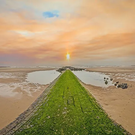 Bright With Terrace Middelkerke